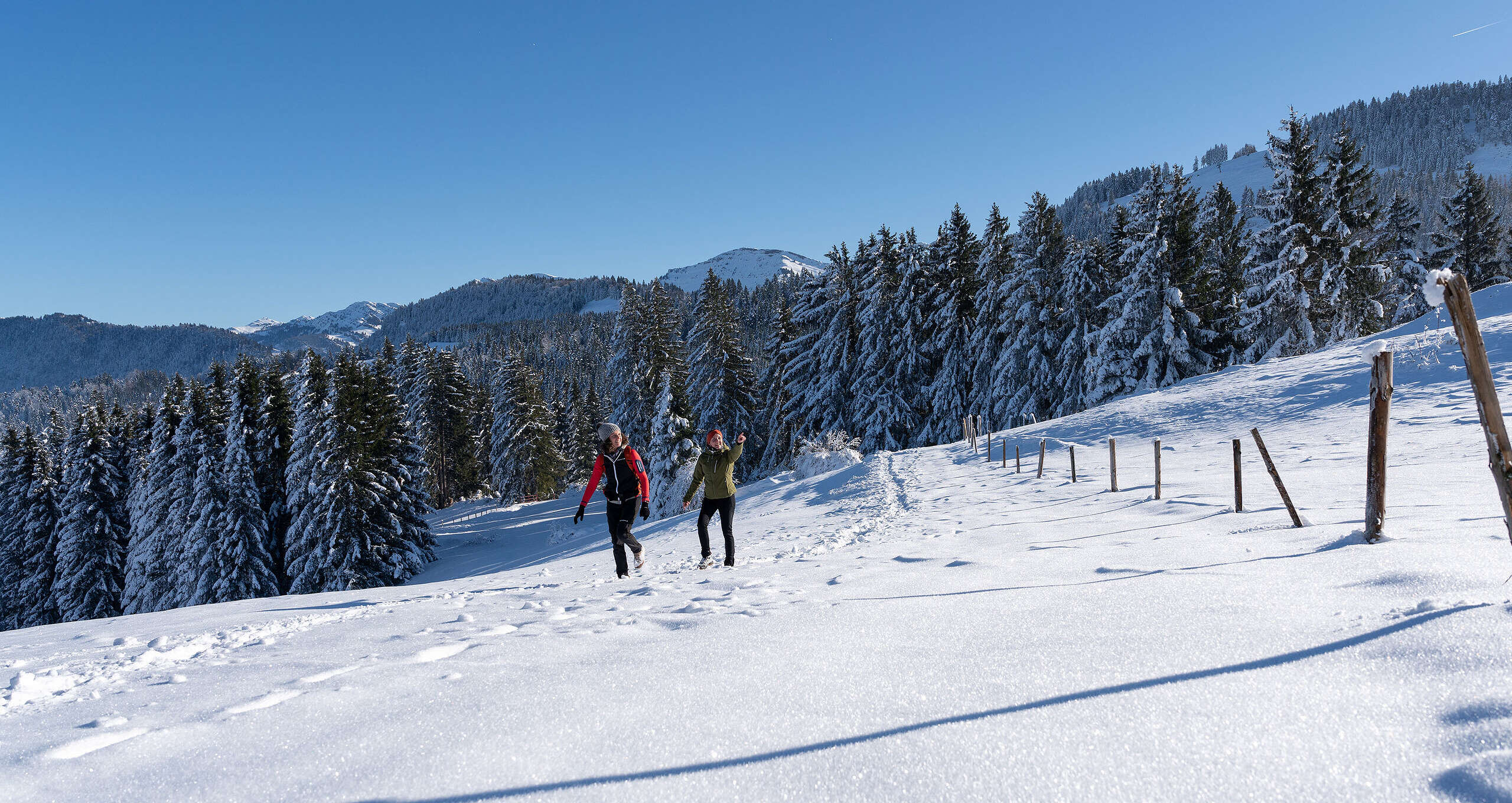 Winterwandern in verschneiter Natur vor dem Bergpanorama des Hochgrat