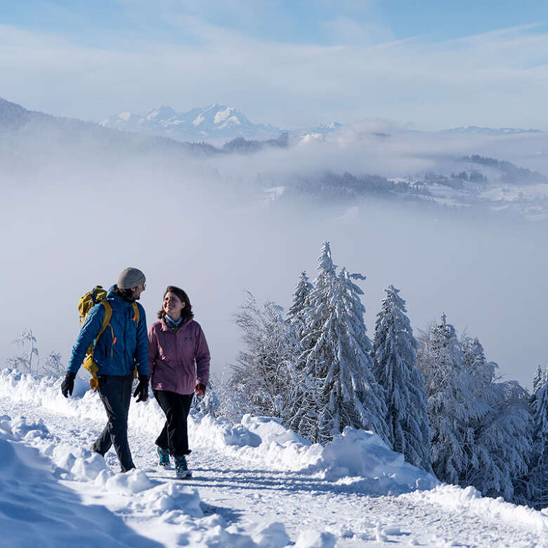 Winterwanderung am Hündle mit Panoramablick über die verschneite Natur von Oberstaufen bis zum Säntis