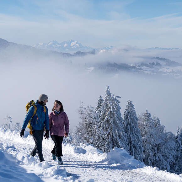 Winterwanderung am Hündle mit Panoramablick über die verschneite Natur von Oberstaufen bis zum Säntis