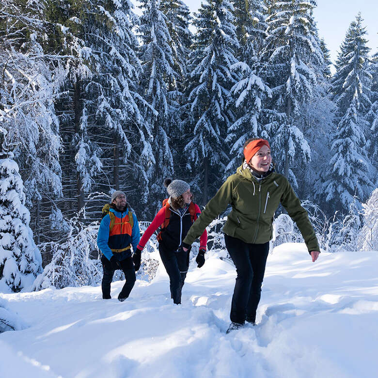 Winterwanderung in den verschneiten Wäldern von Oberstaufen