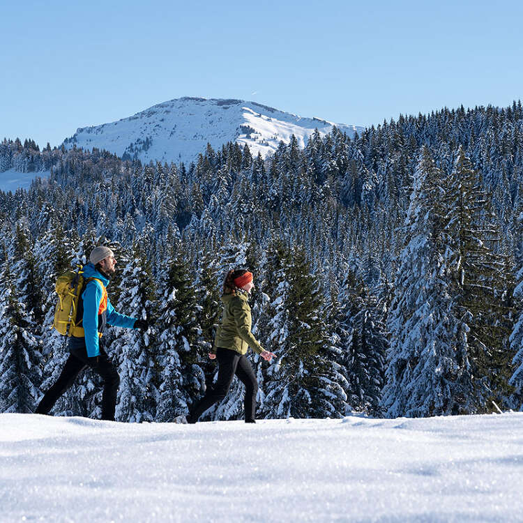 Winterwandern über verschneite Wiesen mit Blick auf weiße Wälder und den Hochgrat.