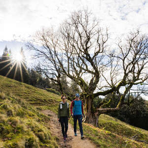 Wandern im Herbst in den Bergen von Steibis